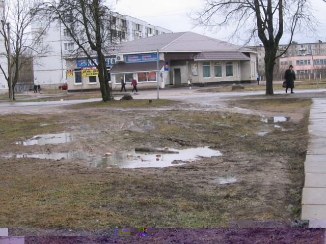 весна 008.jpg