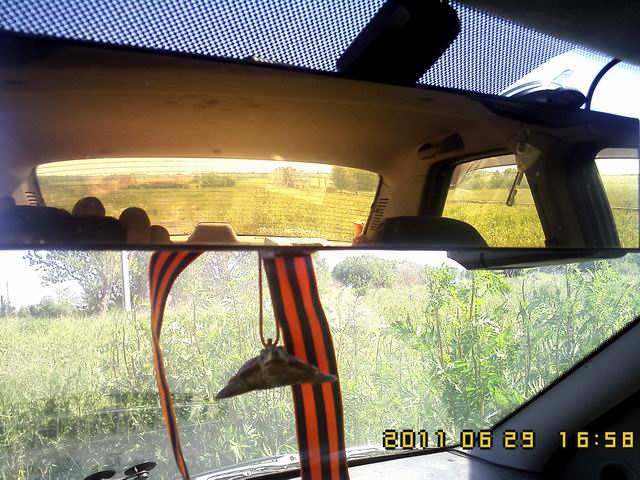 IMG0133.jpg