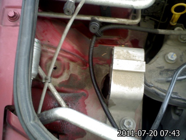 IMG595.jpg