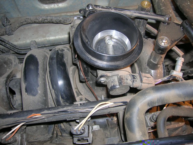 DSCN1484.JPG