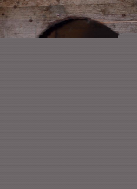 DSC_1421кр-р.jpg