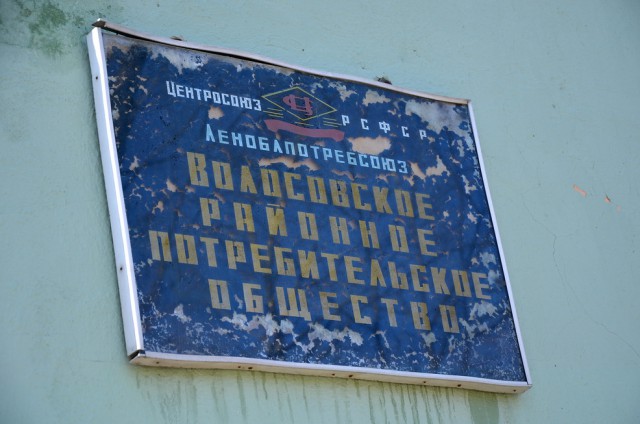 Прогулка 5.jpg