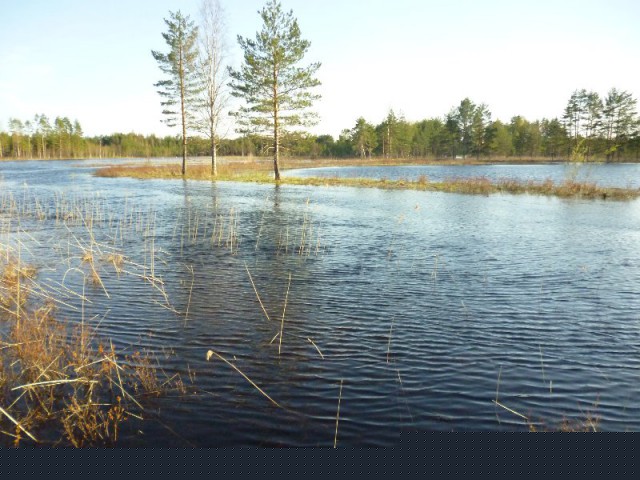 Image2.jpg