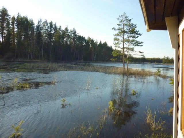 Image7.jpg