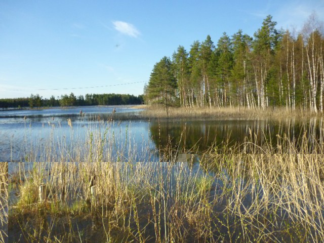 Image9.jpg