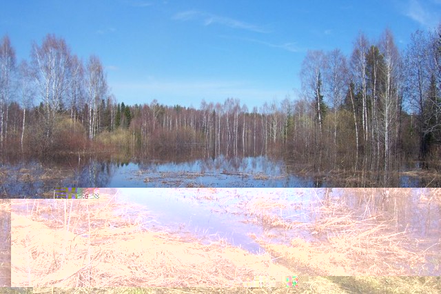 день победы 001.JPG