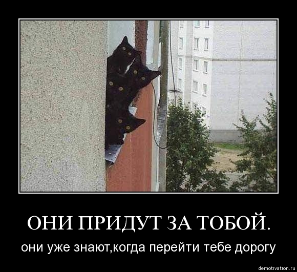 6err34j1kysn.jpg