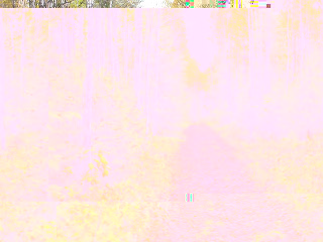 DSCF0830.JPG