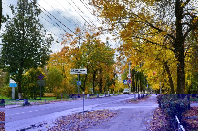 DSC_4087р.jpg