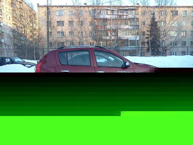 степа.jpg