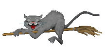 кошка на метле.gif