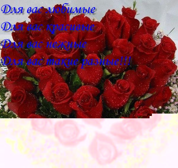 9F980940AA2F4517B810E10364617883_img.jpg