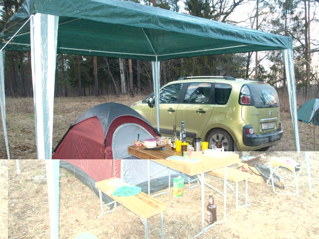 VF300247.JPG