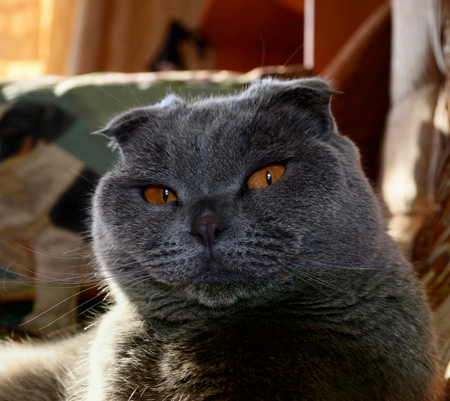 DSC_6492кр.jpg