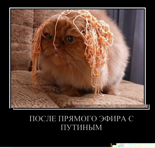 после.jpg