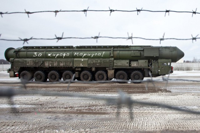 за жирафа.jpg