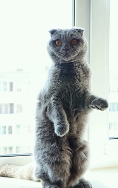 DSC_6264кр.jpg