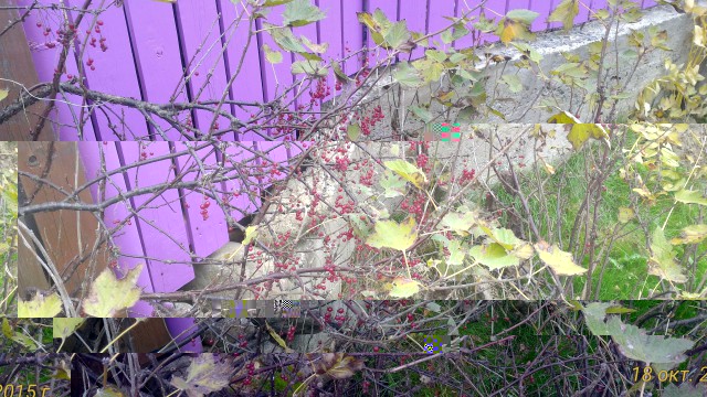 P_20151018_140903_1_p.jpg