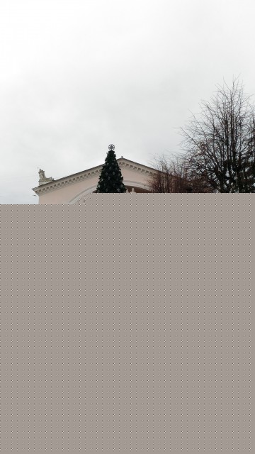 P_20151220_134904.jpg