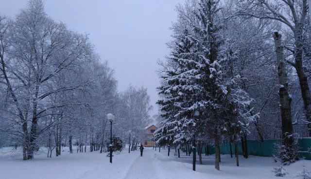 P_20160225_0749491_cr.jpg