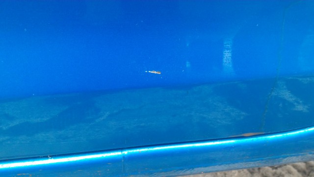 P_20160305_102641.jpg