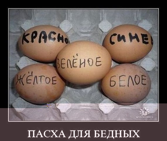 x_9409f8f5.jpg