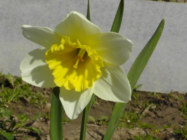 S3690006.JPG