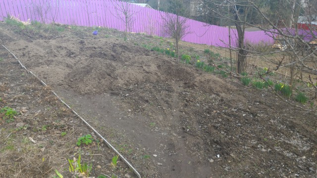 P_20160430_172048.jpg
