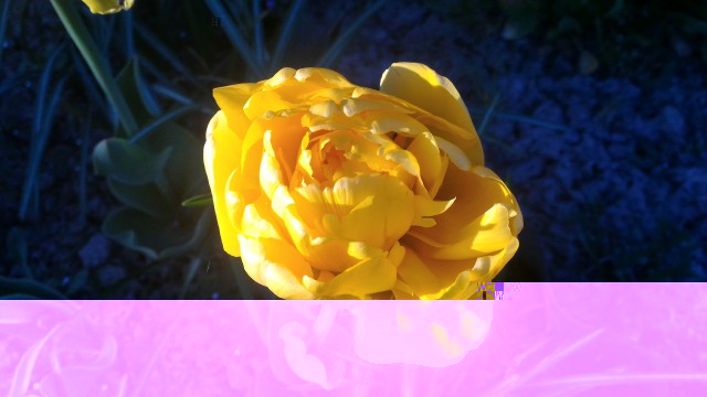P_20160513_195230.jpg