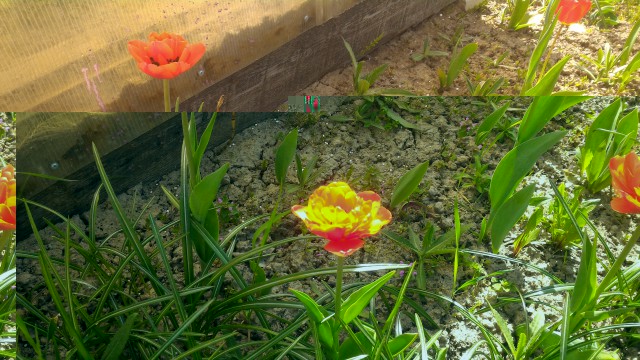 P_20160514_105439.jpg