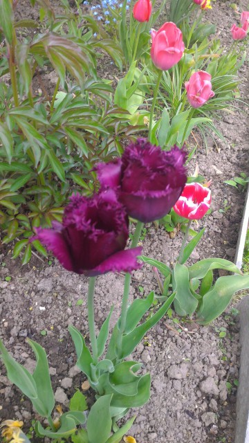 2016-05-22 16-04-39.JPG