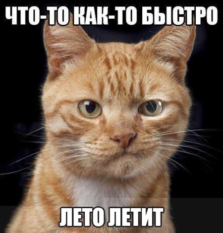 1469639661_gha-0.jpg