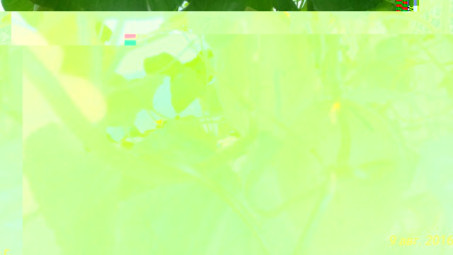 P_20160809_193545_1_p.jpg