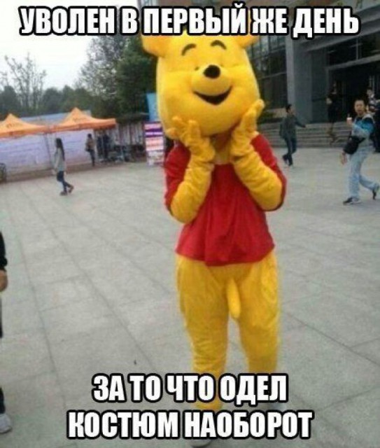 1439881063.jpg