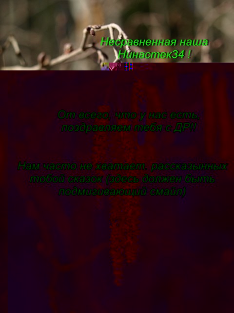 сережки для белки.jpg