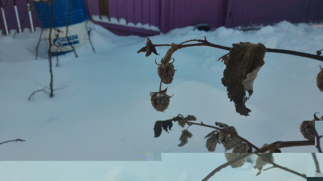 P_20161210_122327.jpg