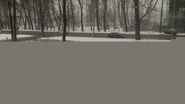 1492085824354452940166.jpg