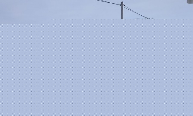 s.jpg