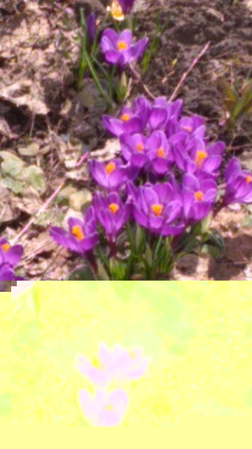 IMG-20190407-WA0033.jpeg (617.95 КБ) Просмотров: 11479 IMG-20190407-WA0033.jpeg