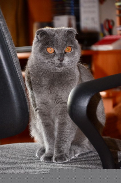 DSC_0901р.jpg