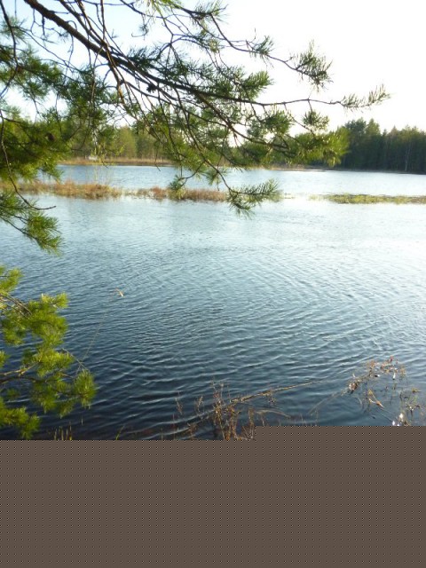 Image3.jpg