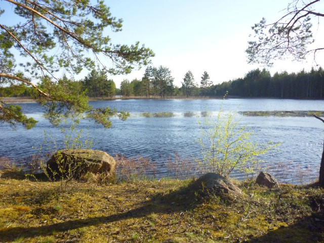 Image4.jpg