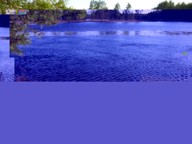 Image5.jpg