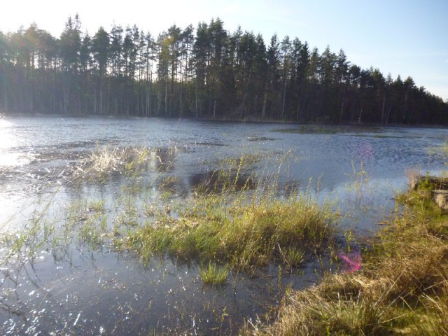 Image6.jpg