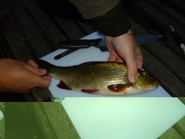 fishing2.jpg