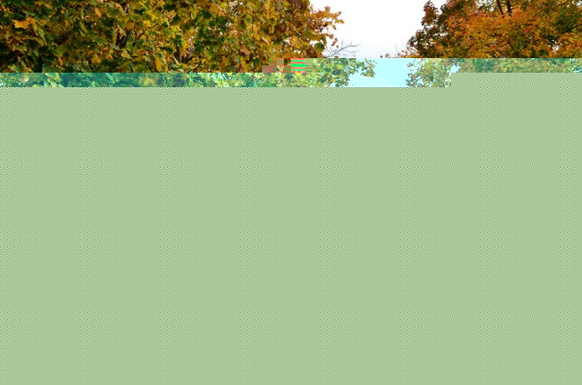 DSC_4086р.jpg