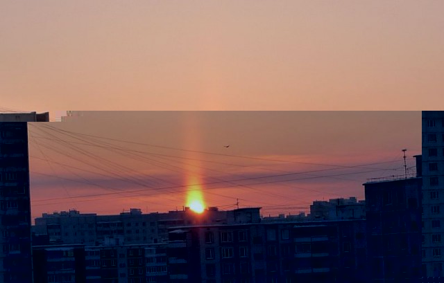 P1040739.jpg