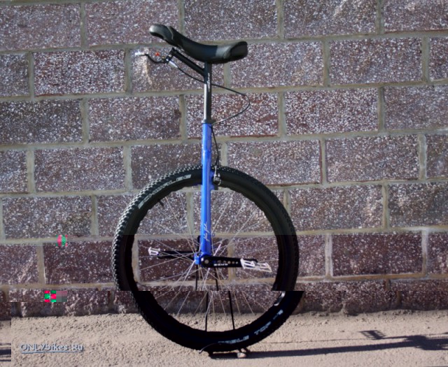 1218_big.jpg