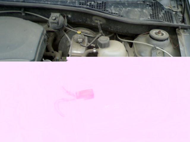 IMG183.jpg