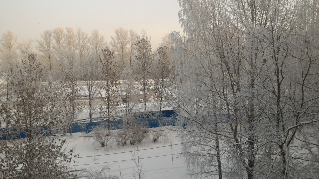 P_20160117_111707.jpg